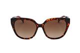 Tortoise Brown Gradient variant main image