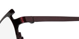 Harry Lary's Terrory Eyeglasses