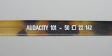 Harry Lary's Audacity Eyeglasses