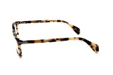 Tortoise variant third image