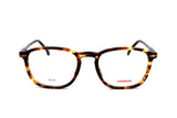 Tortoise variant main image